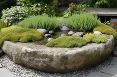 a rock garden with moss growing on it