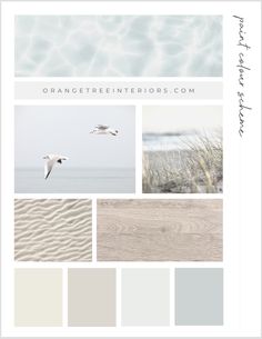 the color scheme for an ocean themed wallpaper with seagulls and sand dunes