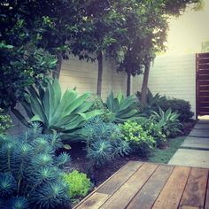 a wooden deck surrounded by lush green plants next to a white brick wall and trees