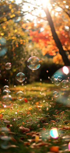 soap bubbles are floating in the air near some trees and grass with leaves on it