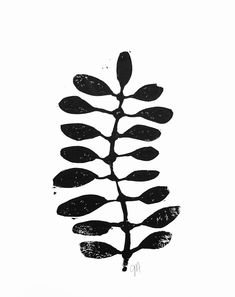 a black and white drawing of a leaf