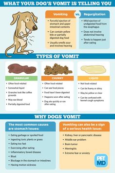 an info sheet describing the different types of dogs that are in their food and how to use