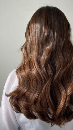 Soft Healthy Hair, Chestnut Hair, Honey Brown Hair, Brown Hair Looks, Brown Hair Inspo, Hair Color Auburn, Glossy Hair, Hair Inspiration Color, روت�ين العناية بالبشرة