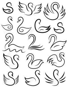 swan symbols set on white background stockvectors for birds and swans tattoo designs