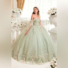 Stunning Sage, Green Ball Gown With Floral Appliqu And Glitter. Has Detachable Sleeves, Long Train Truly Gorgeous Dress. It Is A Sage Color With Hence Of Pink And Iridescent Sequence Also Has Glitter Throughout The Gown For A Shining Look. It Has A Lace Up Corset Back As Well As A Zipper Closure On The Skirt. Final Sale Green Quinceanera Gown With Sweetheart Neckline, Green Sweetheart Neckline Gown For Quinceanera, Green Gown With Sweetheart Neckline For Quinceanera, Green Sweetheart Neckline Evening Dress For Quinceanera, Green Tulle Quinceanera Dress For Party, Green Floor-length Quinceanera Party Dress, Green Quinceanera Dress With Fitted Bodice, Green Fitted Bodice Evening Dress For Quinceanera, Elegant Green Quinceanera Dress For Evening