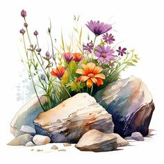 watercolor painting of flowers and rocks