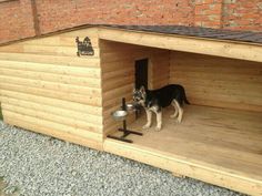 a dog in a wooden kennel with the words russian on it