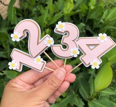 a hand holding two pink and white cake toppers with daisies on each one