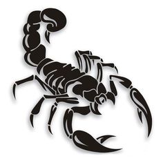 a black and white silhouette of a scorpion on a white background stock photo - budget conscious