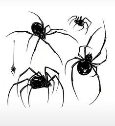 three black and white images of spider's with their webs on the back