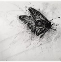 a black and white drawing of a butterfly