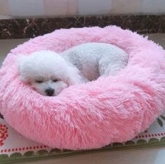 a small white dog is sleeping in a pink bed