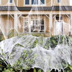 a house with spider webs on the front yard