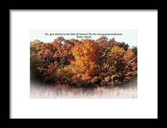 Pretty Autumn Fall trees with fog lifting and bible Scripture from Psalm one hundred thirty-six, verse twenty-six on the image. Fog Autumn, Fog Art, Psalm 136, Trees Autumn, Fall Trees