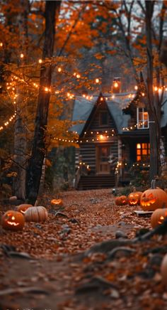 pumpkins on the ground in front of a log cabin with lights strung from it