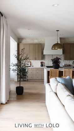 a living room and kitchen with wood flooring