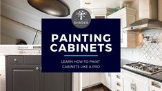 the words painting cabinets learn how to paint cabinets like a pro are overlayed