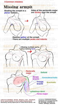 Manga Materials, Female Anatomy Reference, Anatomy Tutorial, Body Drawing Tutorial, Human Anatomy Drawing, Human Anatomy Art, Anatomy Sketches, Body Reference Drawing, Art Easy