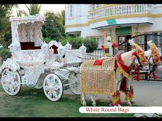 a white horse drawn carriage with red and gold decorations