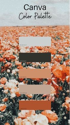 a field full of orange flowers with the words canva color palette on it's side