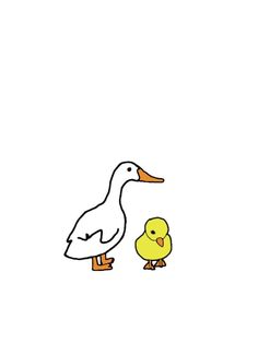 an image of a duck and its chickling