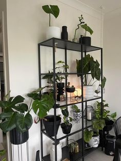 a shelf filled with potted plants on top of a tiled floor