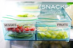 plastic containers filled with fruits and vegetables on top of an open refrigerator freezer door