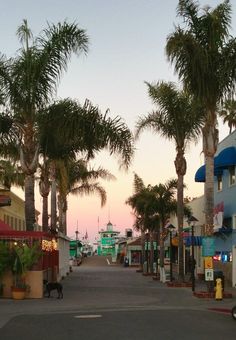 palm trees line the street in front of shops and restaurants at dusk, with a motorcyclist passing by