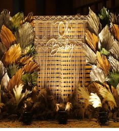 an image of a display with feathers on it