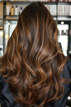 Light Golden Brown Hair With Lowlights, Balayage Hair Golden Brown, Honey Vs Caramel Highlights, Carmel Highlights Brunettes, Bronze Highlights On Brown Hair, Caramel Highlights In Brown Hair, Highlights Brown Hair Caramel, Golden Caramel Hair Color, Chocolate Brown Hair With Caramel Highlights