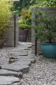 a stone path between two large potted plants