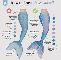 how to draw mermaid tail and tail for children's drawing lessons, including instructions on how