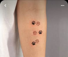 a person with a dog paw tattoo on their arm