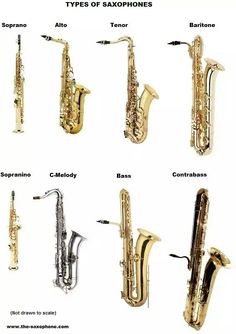 the different types of saxophones are shown in this image, and there is also an explanation