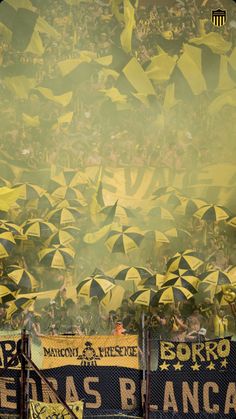 a large group of yellow umbrellas sitting in the middle of a stadium filled with people