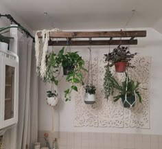 several hanging plants in pots on the wall next to a kitchen sink and stove top