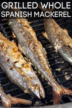 grilled whole spanish mackerel on the grill with text overlay that reads grilled whole spanish mackerel