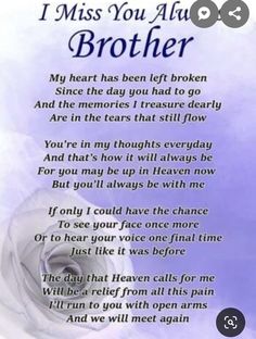 i miss you at my brother poem