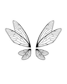 two butterflies that are drawn in black and white