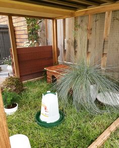 a chicken coop with grass and plants in it