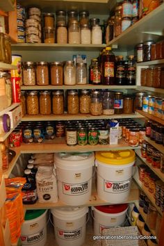 a pantry filled with lots of different types of food