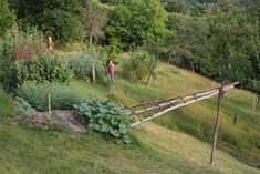 Garden Trellis Fence, Food Forest Garden, Sloped Garden, Veg Garden, Home Vegetable Garden, Samos, Vegetable Garden Design, Food Garden