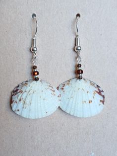 Real white scallop shell earrings with French hooks made from sterling silver. Choose from a variety of agate accent colors. Simple, understated designs for the beach or regular wear and colors to match any outfit! The natural shells vary, but average .5 to .75 inches in size. See my other listing for more variations: https://www.etsy.com/listing/1754676136/shell-earrings-shell-jewelry White Ocean-inspired Jewelry With Round Beads, Ocean-inspired White Round Bead Jewelry, Ocean-inspired White Round Beaded Jewelry, White Round Bead Earrings For Beach, White Shell-shaped Shell Jewelry, White Shell-shaped Ocean-inspired Jewelry, White Ocean-inspired Dangle Jewelry, Ocean-inspired White Shell-shaped Jewelry, White Beaded Shell Earrings