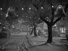 a black and white photo of a tree with lights hanging from it's branches