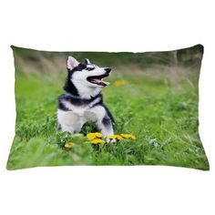 a black and white husky dog sitting in the grass with yellow flowers on it's back