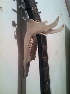 a guitar hanging from the side of a wall next to a fake animal's head