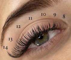 Eyelashes Tattoo, Eye Lash Tattoo, Lash Maps, Seni Resin, Lashes Tutorial, Eyelash Tips, Lash Extensions Makeup