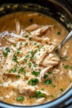 a close up of a bowl of soup with chicken