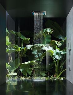 a shower head in the middle of a room filled with green plants and greenery