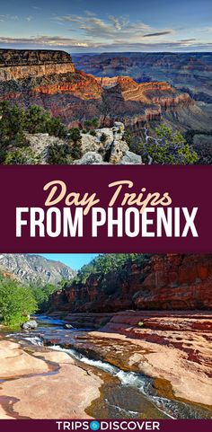 the grand canyon with text that reads day trips from phoenix on it